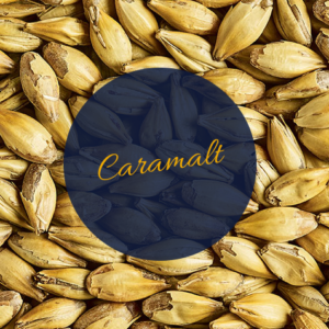 Simpsons Caramalt