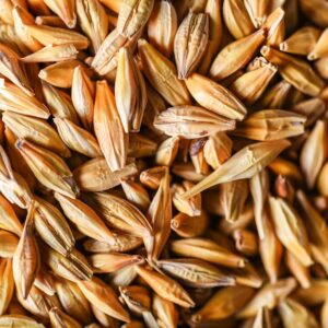 Honey Malt
