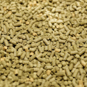 Northern Brewer