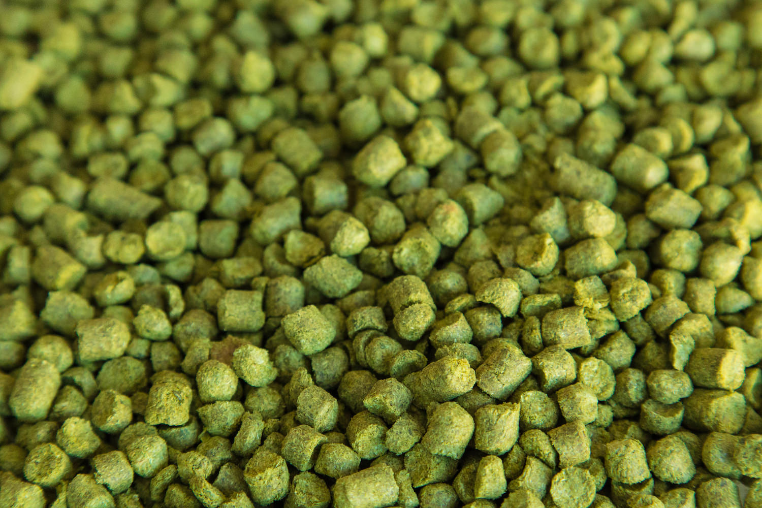 Simcoe Hops