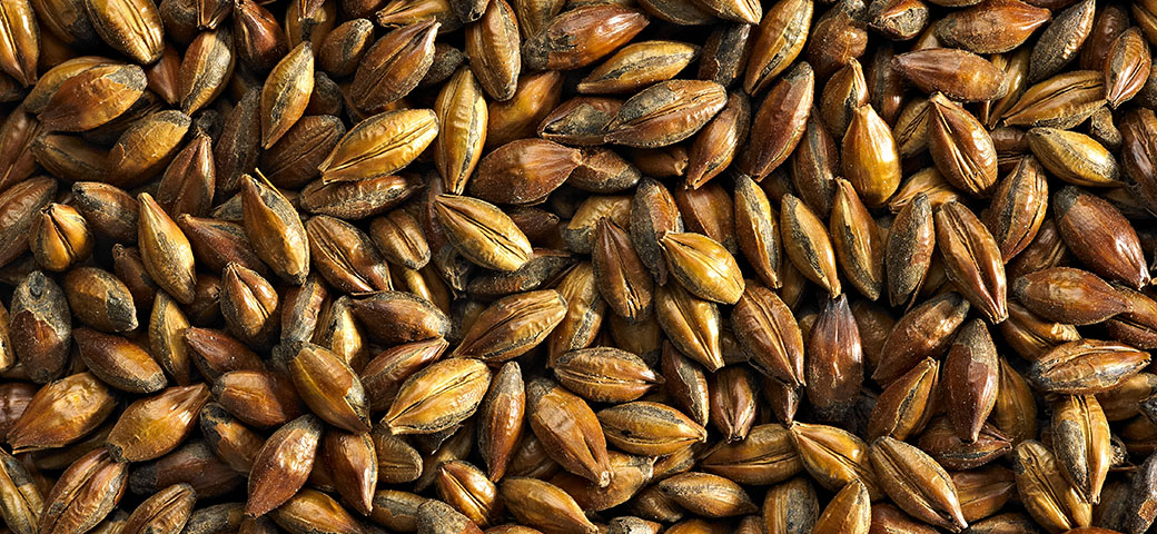 Brown Malt