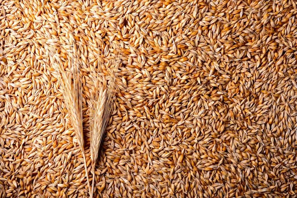 Munich Dark Malt